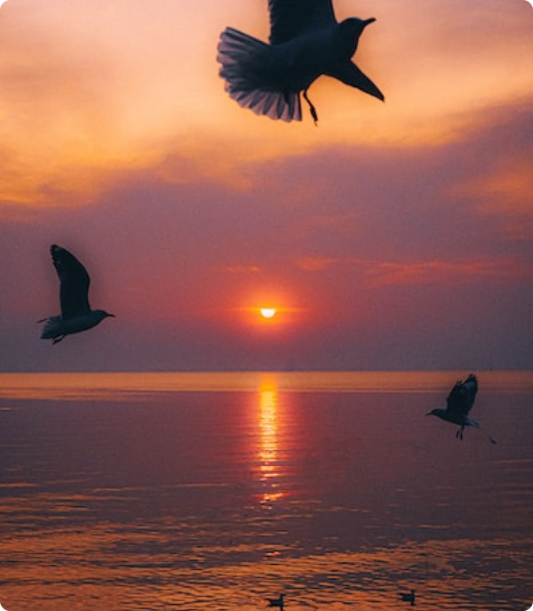 province-SAMUT_PRAKAN-img