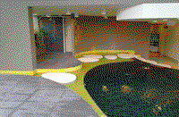 Facility 4