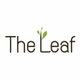 project-the-leaf-image-alt