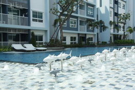 Project The Trust Hua Hin Picture - 4/6