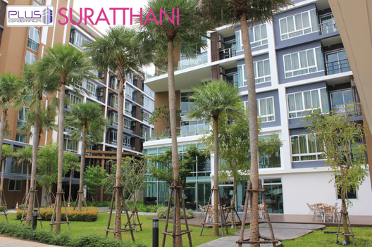 รูป Plus Condo Suratthani - รูปที่ 3/7