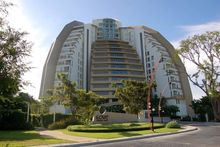 The Cove