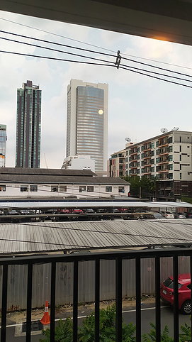 picture Proud Condo for rent full furniter - 13/16