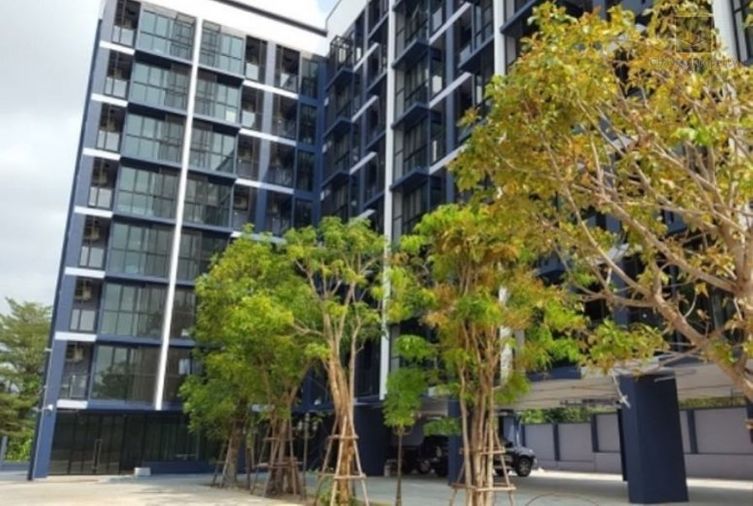 The Gorilla Condo