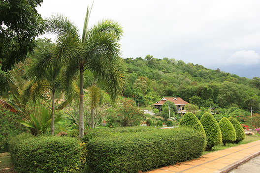 Project The Green Places Picture - 5/5