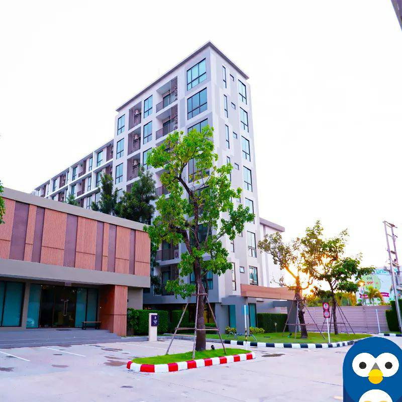 รูป ให้เช่า คอนโอ CASA CONDO สวนเสือ ศรีราชา(ตึกC ชั้น4) - รูปที่ 19/21