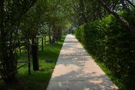 รูป dcondo Sign Chiangmai - รูปที่ 5/6
