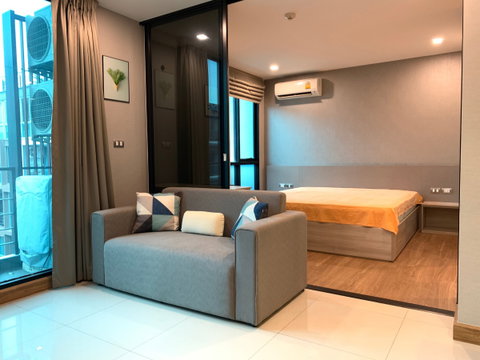 🌸🌸🌸รหัส SI2306888 ให้เช่าTree condo sukhumvit50 1นอน ห้องใหญ่ ราคาถูกสุดในตึก !!!ใกล้BTS Onnut!!!