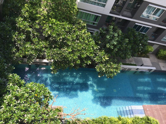 รูป ขายดีคอนโด เนินพระ ระยอง (พร้อมผู้เช่า) ชั้น 6 - รูปที่ 6/9