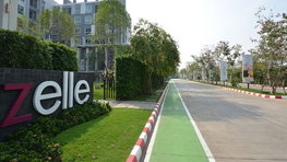 รูป Zelle Salaya - รูปที่ 3/11