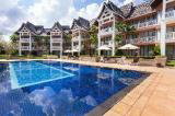 รูป Allamanda Laguna - รูปที่ 2/3