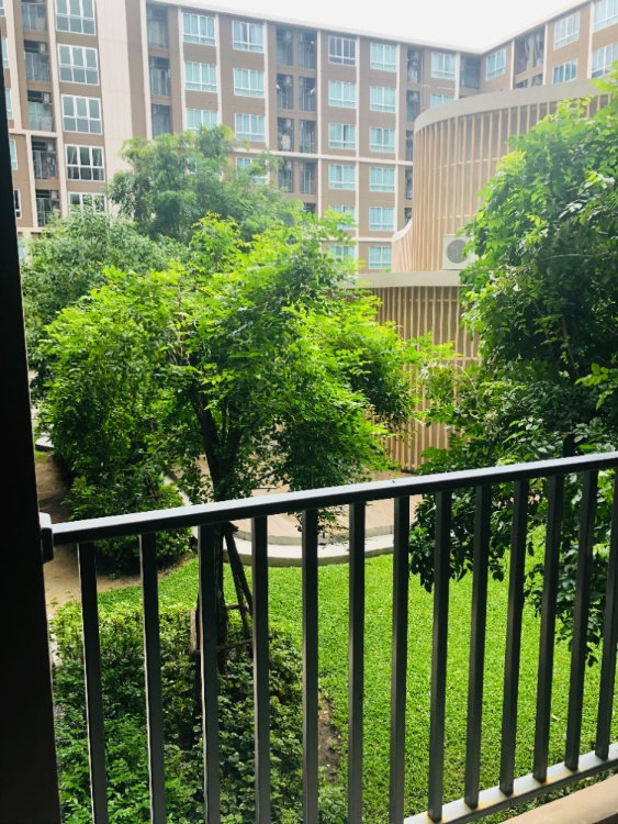 รูป ให้เช่า D Condo Dome รังสิต พร้อมอยู่  (LINE : @hubcondo) - รูปที่ 11/13