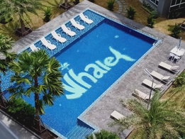 รูป Whale Marina - รูปที่ 4/8