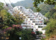 Project The Plantation Picture - 1/6
