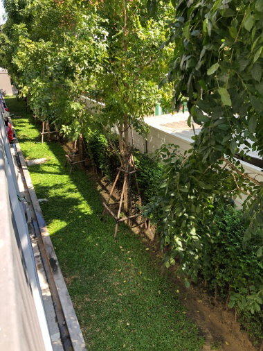 picture For Rent Origin Sukhumvit 105 Ready to Move in - 17/20