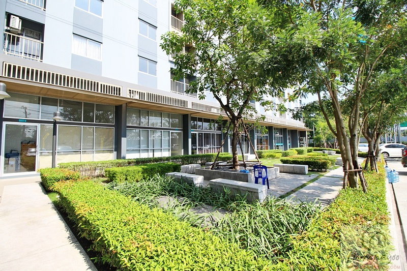 picture The Point Condo Rungsit - Klong 6 - 14/16