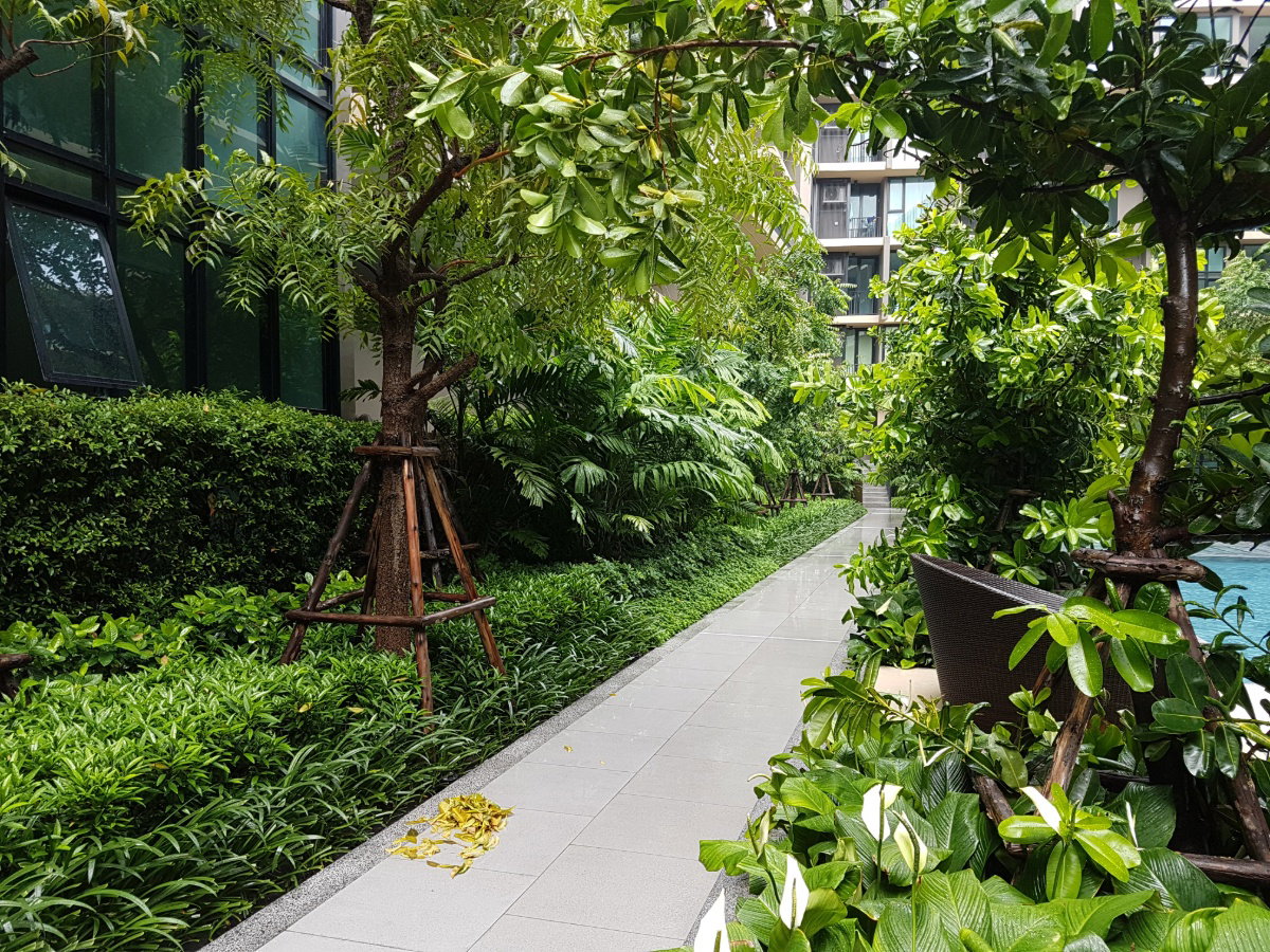picture parque Phutthabucha 48 KMUTT for rent - 12/18