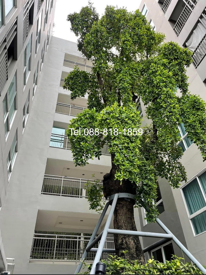 รูป ให้เช่าเทมโป ควอด สะพานใหม่ ห้องมุมหน้าต่าง2ฝั่ง  มีเครื่องซักผ้า Tel.0999983897 - รูปที่ 7/12