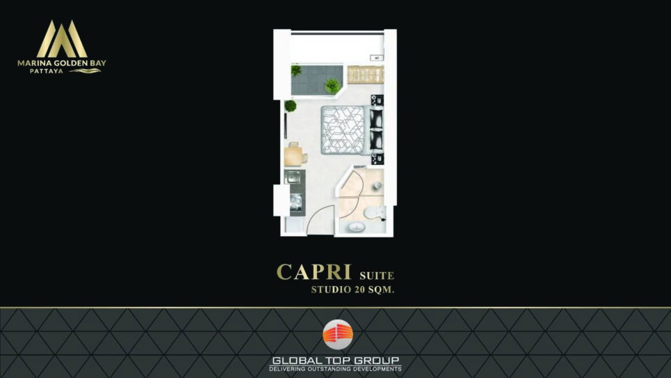 รูปภาพCAPRI SUITE