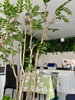 listing thumbnail image 6