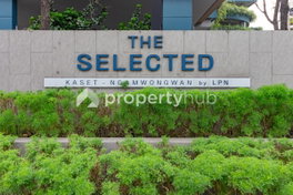 รูป The Selected Kaset - Ngamwongwan - รูปที่ 4/15