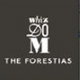 project-whizdom-the-forestias-image-alt