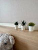 listing thumbnail image 9