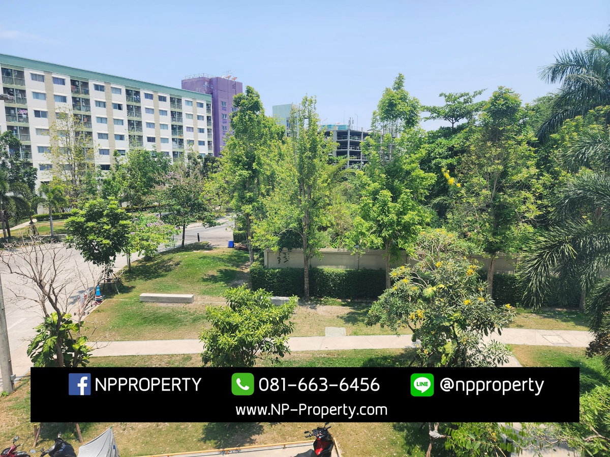 รูป ให้เช่าคอนโดลุมพินีชลบุรีห้องใหม่วิวสวน - รูปที่ 2/14