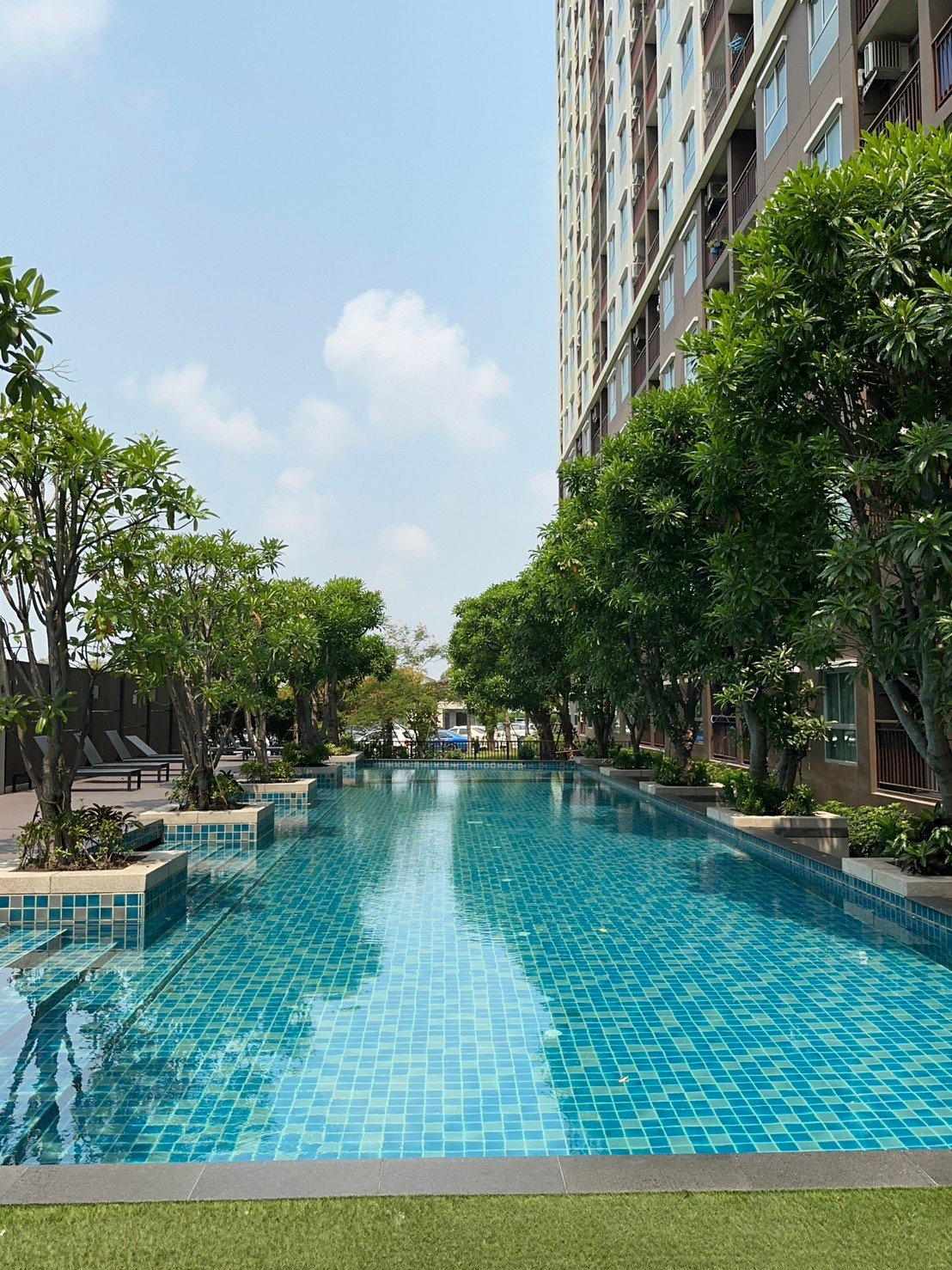 (เจ้าของขายเอง)🌟ขายด่วน  The Parkland Lite sukhumvit - paknam  𝟏 ห้องนอน | 𝟏 ห้องน้ำ | ขนาด 𝟮𝟴 ตร.ม.