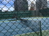 listing thumbnail image 13