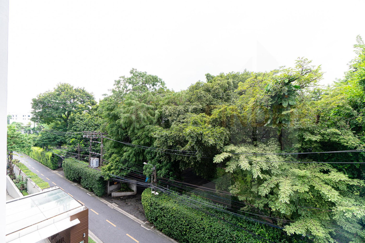 รูป Ficus Lane 1 bedroom, for rent - รูปที่ 12/12