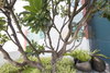 listing thumbnail image 35