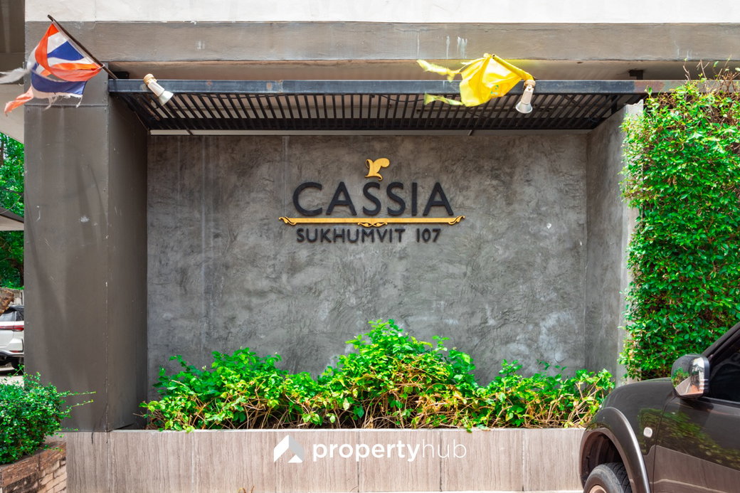 Project Cassia Picture - 1/10