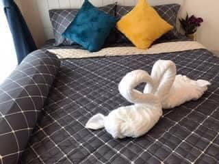 WP4081 Condo for rent, The Privacy Rama 9, beautiful room, fully furnished, with washing machine, special price