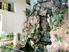 listing thumbnail image 12