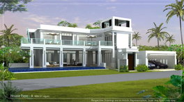 Project Palm Oasis Picture - 2/6