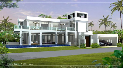 Project Palm Oasis Picture - 2/6