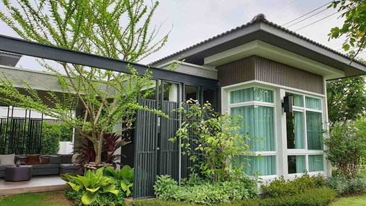 Project Mantana Phran Nok Sai 2 - Bang Waek Picture - 3/13