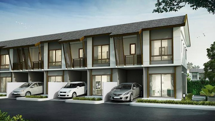 รูปภาพPinus A