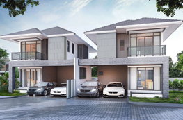 Project The Miracle Plus Rama 2 Picture - 2/13