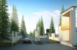 รูป J Forest Amata 2 - รูปที่ 2/13
