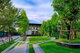 project-flora-tiwanon-image-alt