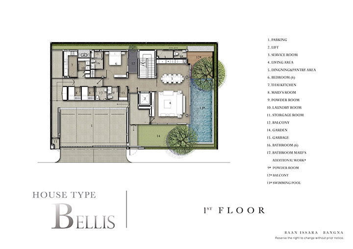 รูปภาพBellis