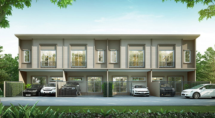 รูปภาพMaple