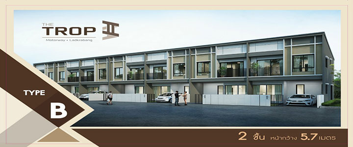 รูปภาพType B