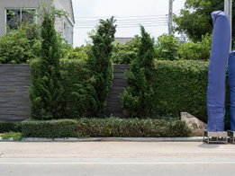 รูป The Village Hathairat - Wongwaen - รูปที่ 3/10