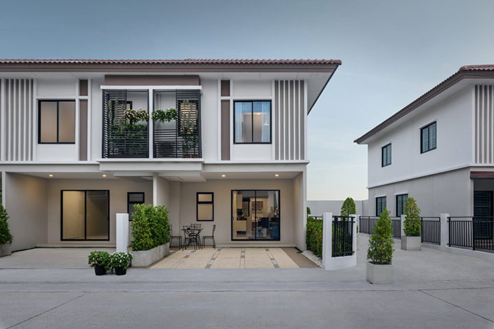 รูปภาพOrchid