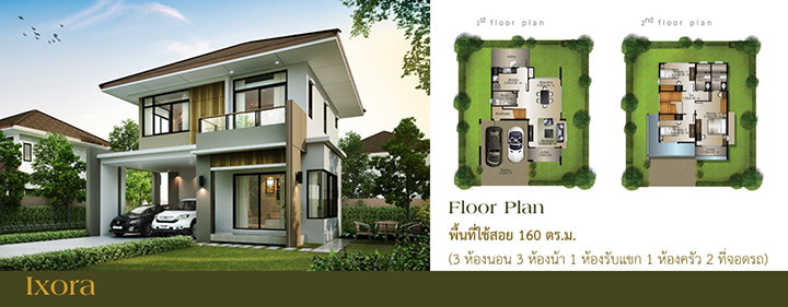 รูปภาพIxora