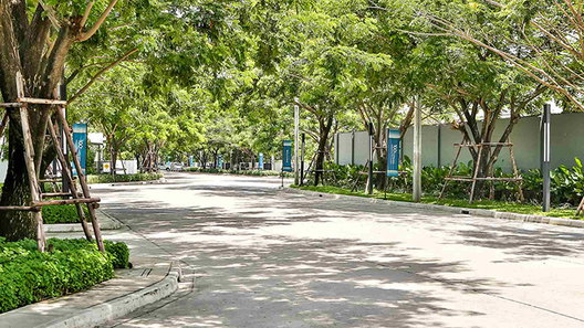 Project Mantana Wongwaen - Bangbon Picture - 3/10