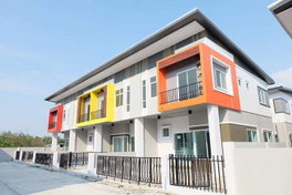 รูป Zenerio - รูปที่ 3/10